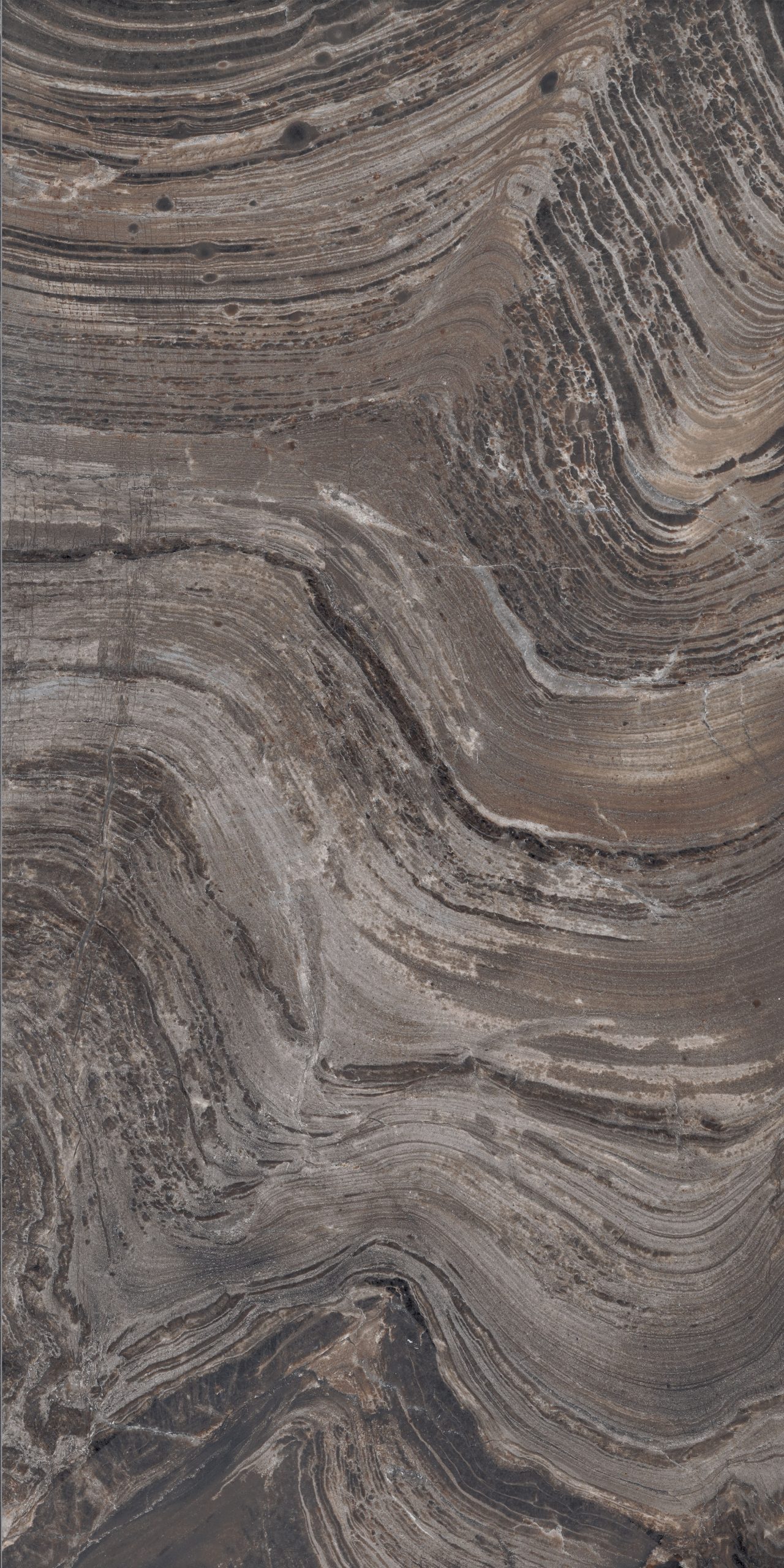 SUPREME Exotic Brown 60x120cm Lux Rett. hr. 8,5mm SUPREME Exotic Brown 60x120cm Lux Rett. hr. 8,5mm