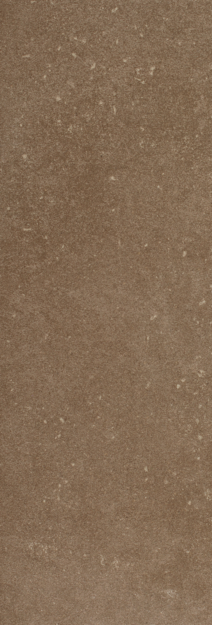 BUXY kerlite3plus Noisette 50x100cm Rett. hr. 3,5mm BUXY kerlite3plus Noisette 50x100cm Rett. hr. 3,5mm