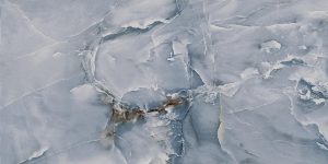 JEWEL   Blue   60 x 120 cm Levigato Rett.