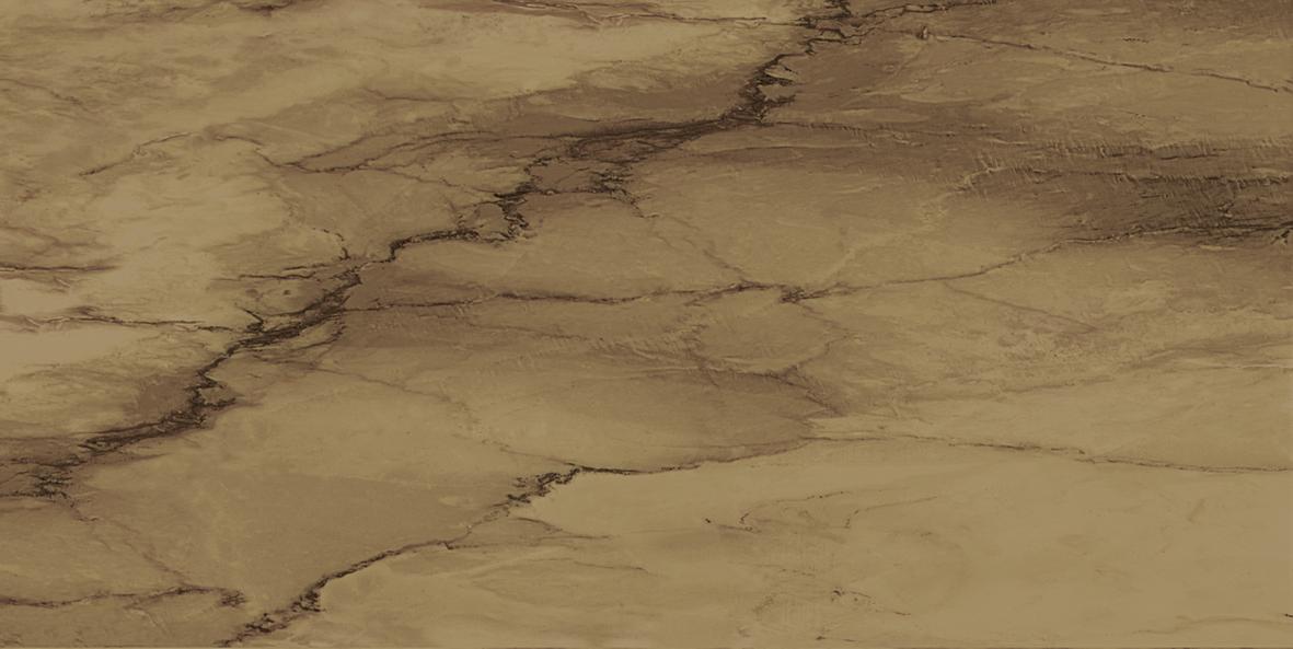 VENUS GRES LAPPATO Visone 30 x 60 cm Lapp. Rett. VENUS GRES LAPPATO Visone 30 x 60 cm Lapp. Rett.