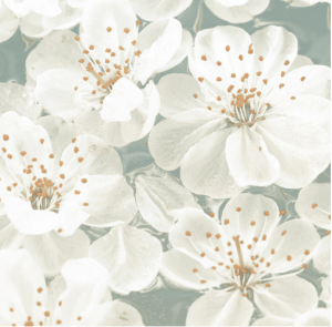 RICORDI BLOOMING Giada Listello 9,5x20cm