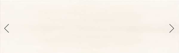PORCELLANA SHINY White 20 x 60cm
