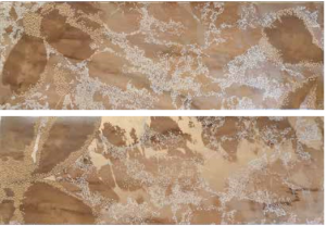 VENUS PASTA BIANCA Jar Gold Visone Decoro 25 x 75 cm