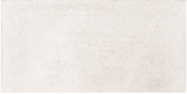 DOTCOM   White  30x60cm Nat. Rett.