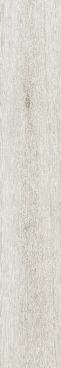 TR3ND  White   Wood  20x120cm  Nat. Rett.