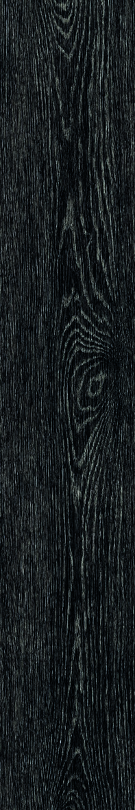 TR3ND  Black   Wood  20x120cm  Nat. Rett.