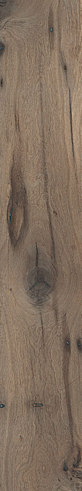 LEGEND Havana  20x120cm Rett.