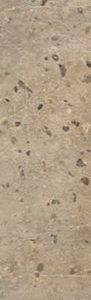 CONCRETE   Beige   20,13x120,8cm Nat. Rett.