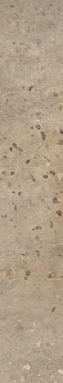CONCRETE   Beige   20,13x120,8cm Nat. Rett.