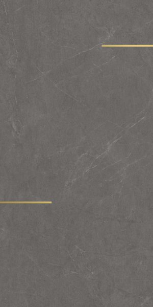ARKISTONE Silver  Inserto  60x120cm