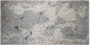 MINERAL Stars  Bronze  Decoro 30x60cm