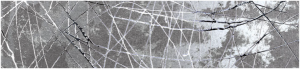 MINERAL Bright Silver   Decoro 30x120cm