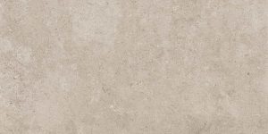 HIGHSTONE Greige    60x120cm  Rett.