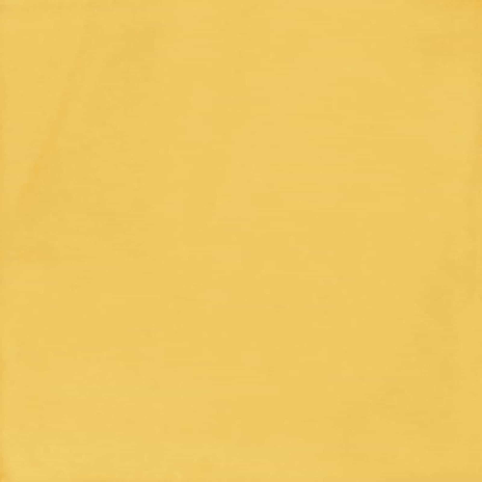 VITA Giallo 20x20cm Luc. Rett. VITA Giallo 20x20cm Luc. Rett.