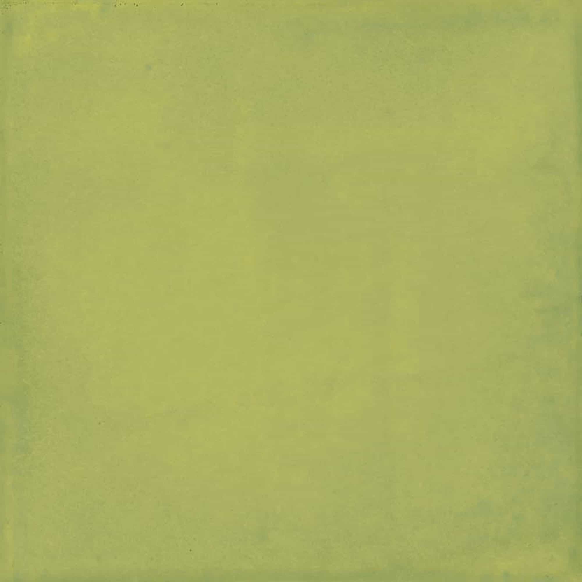 VITA Verde 20x20cm Luc. Rett. VITA Verde 20x20cm Luc. Rett.