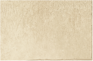 CHATEAU  ROYAL Amboise  20x40,4cm Nat.