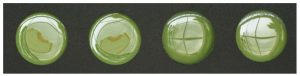 ARCHITECTURAE, Tondi Large Lisci Pistacchio Listello, 5,7x30cm