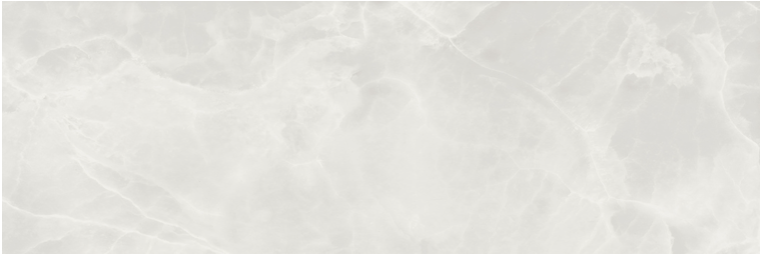 EXEDRA kerlite5plus PR( )TECT Onyx Extra 100x250cm Silk Rett. hr. 5,5mm EXEDRA kerlite5plus PR( )TECT Onyx Extra 100x250cm Silk Rett. hr. 5,5mm
