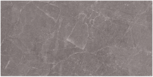 EXEDRA kerlite5plus PR( )TECT Rain Grey  50x100cm Glossy  Rett. hr. 5,5mm