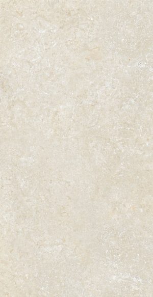 SECRET STONE  PR( )TECT Mystery White   60x120cm Nat. Rett. hr. 14mm