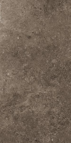 SECRET STONE  PR( )TECT Rare Dark   60x120cm Honed Rett. hr. 14mm