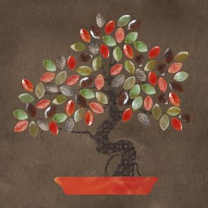 NATURAE ALBERI, Bonsai Pannello Stuccato (Moka C420) Autunno A, 80x80cm