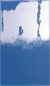 NATURAE ALBERI, Basic Bisellata Unito Zaffiro, 30x60cm