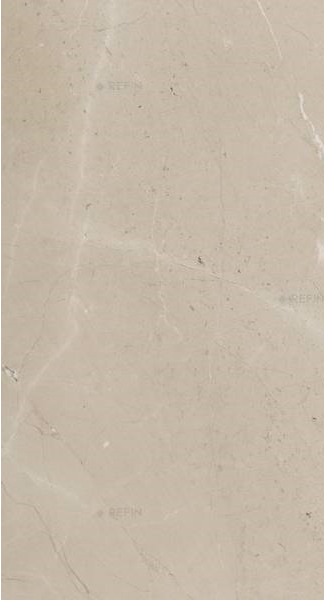 PRESTIGIO Arcadia 30x60 cm Rett. Lucido PRESTIGIO Arcadia 30x60 cm Rett. Lucido