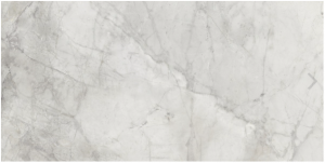 BOUTIQUE  HBO 10 Invisible Gray   Shine  60x120 cm Rett.