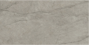 BOUTIQUE  HBO 15 Silver   Shine  60x120 cm Rett.