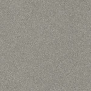 STANDARD EVOLUTION  200 Evolution Argent   30 NR   30x30cm R10  hr. 7,6mm