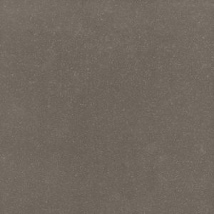 STANDARD EVOLUTION 400 Evolution  Brun  30 NR   30x30cm R10  hr. 7,6mm