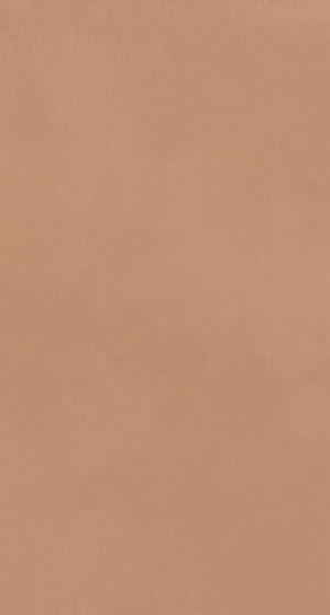 OVERCLAY  Cly.  Cotto  60x120cm Nat. Rett.