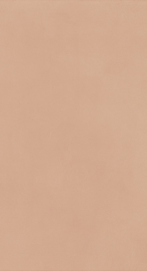 OVERCLAY  Cly. Rose   30x60cm Nat. Rett.