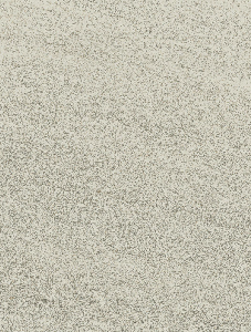 LIMESTONE Beige 30,8x61,5 cm Outdoor Rett. R11 LIMESTONE Beige 30,8x61,5 cm Outdoor Rett. R11