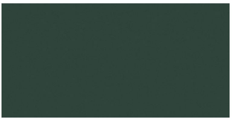 CRAYONS of CERIM Moss 120x240cm Nat. Rett. CRAYONS of CERIM Moss 120x240cm Nat. Rett.