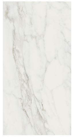 EXALT of CERIM   Magic White   60x120cm Lucido Rett.