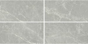 EXALT of CERIM  Silver Light    120x120cm Nat. Rett.