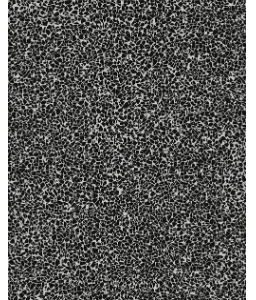 "ARTWORK" of Casamood  Squadrato Art   Micro_02    60x120cm Matte Rett. hr. 6mm