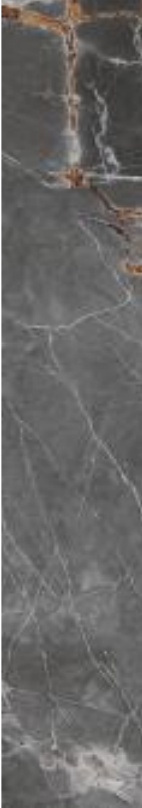 GENESIS  Antrax   7,5x60cm Rett.