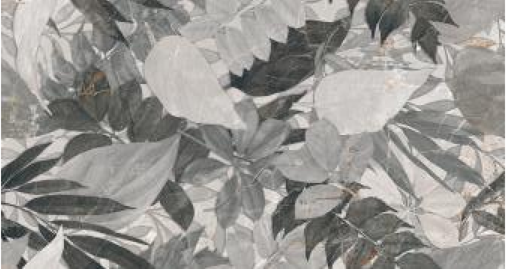 GENESIS Decoro Flora Cold 60x120cm Rett. GENESIS Decoro Flora Cold 60x120cm Rett.