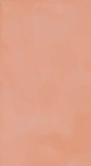 TOUCH EVO   Coral  60x120cm Rett.