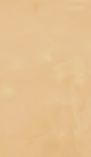 TOUCH EVO   Gold  60x120cm Rett.