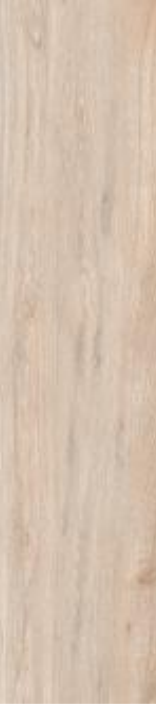 GLOWOOD  Mandorlo 20x120cm Rett.