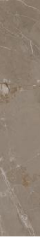 GENESIS  Taupe   7,5x60cm Rett.