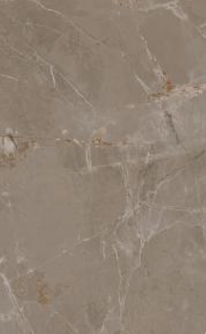 GENESIS  Taupe   60x120cm Rett.