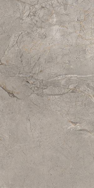 ELEMENTS  LUX  Silver Grey    30x60cm Rett. Lapp. hr. 9mm