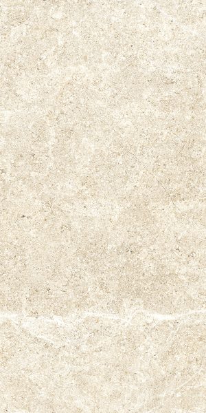 HOLYSTONE  White 30,4x61 Nat. Rett.