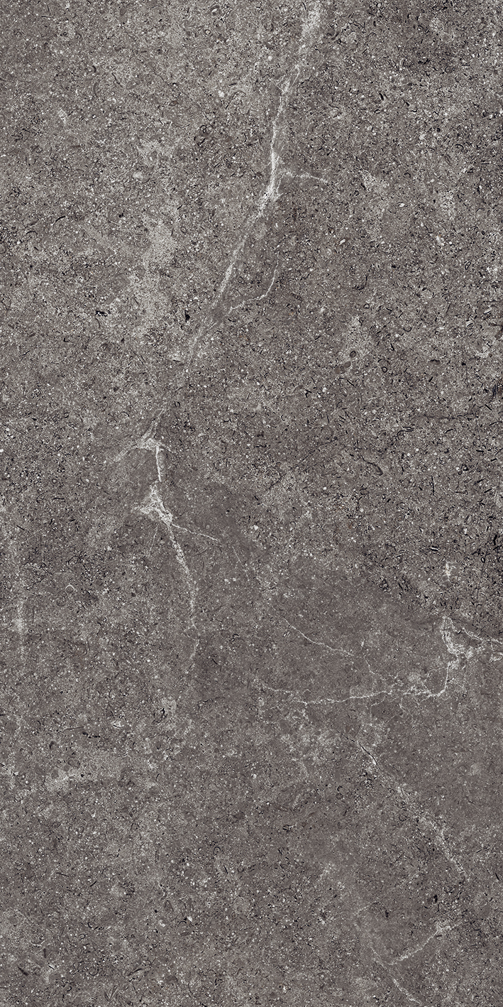 HOLYSTONE Dark 30,4x61 Nat. Rett. HOLYSTONE Dark 30,4x61 Nat. Rett.