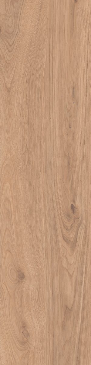 ELISIR  Dorato 20x120cm Nat. Rett. hr. 9mm